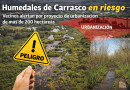 Los Humedales de Carrasco: un patrimonio natural en riesgo ante proyectos de urbanización