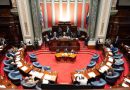 El Senado aprobó la creación del Comisionado Parlamentario para la Niñez y la Adolescencia